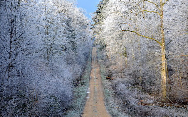 Ngôi làng Oymyakon ở Nga là nơi có người ở lạnh giá nhất thế giới, với nhiệt độ trung bình là -58 độ C. Món ăn điển hình ở đây là cá đông lạnh và thịt tuần lộc. Khoảng 500 cư dân đang sinh sống ở làng Oymyakon, nơi mỗi ngày có tới 21 giờ chìm trong bóng tối.