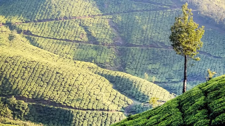 Dat nuoc An Do hien len tuyet dep qua anh cua CNN-Hinh-8