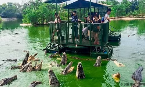 Đảo Ramree ở Myanmar là một trong những nơi nguy hiểm nhất thế giới và không một ai dám đặt chân đến. Theo Wonders List, trong Thế chiến II, 400 lính Nhật đã thiệt mạng do bị cá sấu tấn công sau khi xâm nhập vào đầm lầy cá sấu trên đảo này.