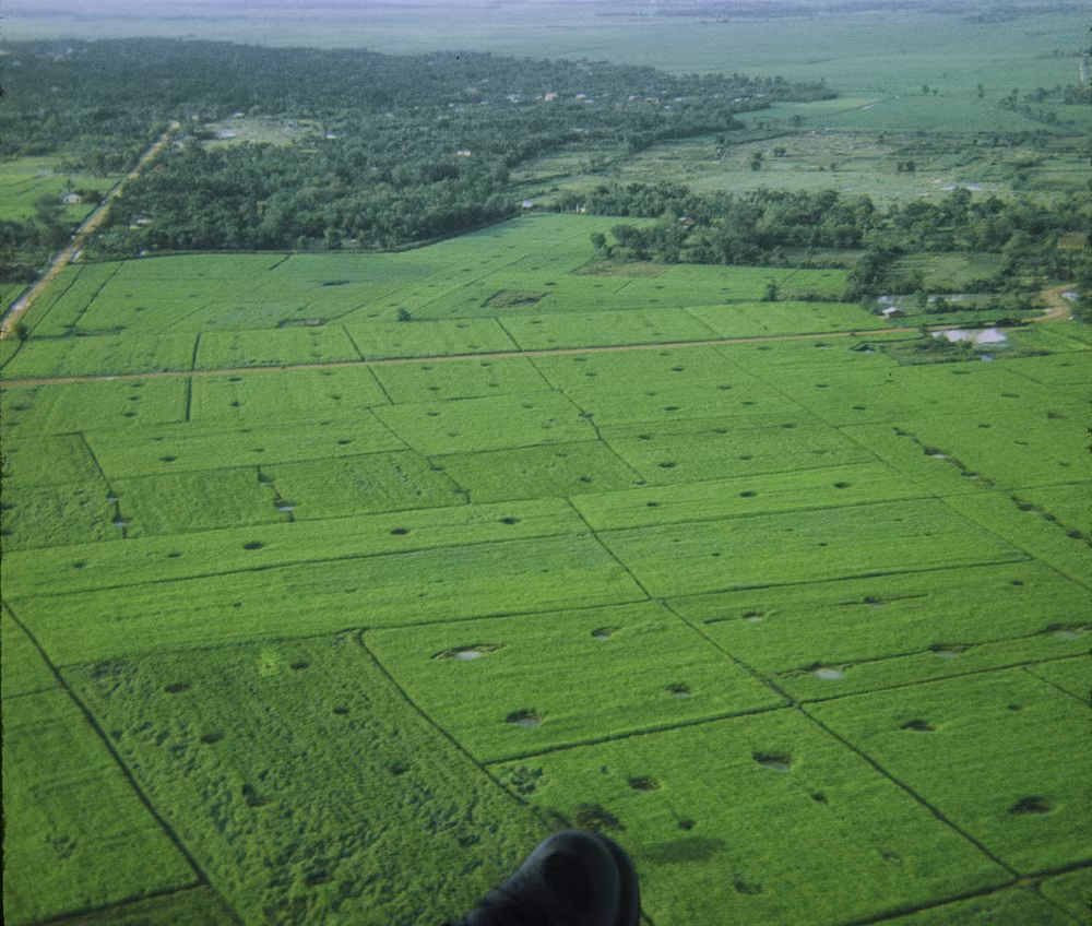 Những cánh đồng xanh ngát.