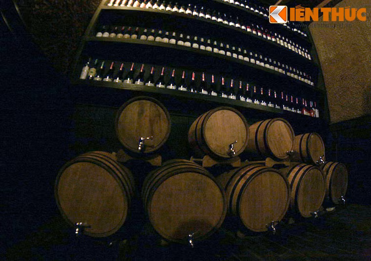 Nhiệt độ bên trong hầm rượu rất mát mẻ, dao động trong khoảng 16 - 20 độ C. Đây chính là nhiệt độ lý tưởng để cất giữ các loại rượu vang.