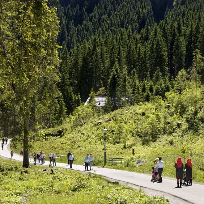 Một đường đi bộ qua rừng, dẫn du khách tới một thác nước tuyệt đẹp.