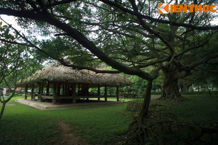 Cách đình Hồng Thái khoảng 1km, đình Tân Trào là nơi diễn ra cuộc họp Quốc dân Đại hội ngày 16/8/1945 để quyết định lệnh tổng khởi nghĩa, 10 chính sách lớn quy định quốc kỳ, quốc ca và cử ra một Chính phủ lâm thời.