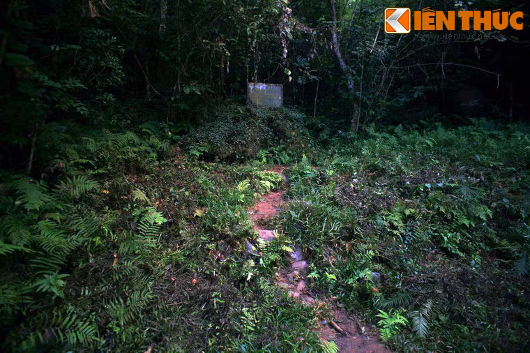 Do bận công việc của đất nước, vào ngày 20/2/1961, sau 20 năm xa cách, dù đã 71 tuổi và sức khỏe giảm sút, nhưng Bác Hồ vẫn đi bộ trở lại thăm Pắc Bó - nơi có ý nghĩa như quê hương thứ hai của Người. Ảnh: Nền nhà sàn của ông Lý Quốc Súng ở Pác Bó - nơi Bác Hồ đã ở trong những ngày đầu trở về Tổ quốc (từ ngày 28/01 - 07/02/1941).