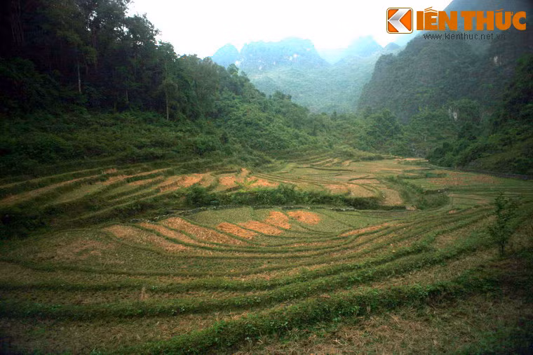 Ngày 4/5/1945, Bác cùng các đồng chí của mình rời Pắc Bó đi xuống chiến khu Tân Trào (Tuyên Quang) để chỉ đạo cuộc Tổng khởi nghĩa tháng Tám vĩ đại, lật đổ chế độ phong kiến, thực dân, thành lập nhà nước công nông đầu tiên ở Đông Nam Á. Ảnh: Ruộng bậc thang của đồng bào dân tộc thiểu số trong lòng chiến khu.