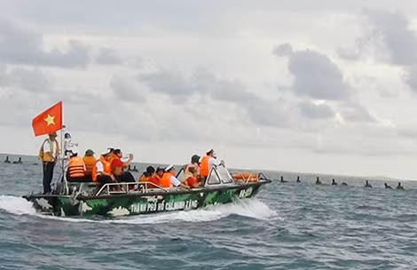 Tau Hai quan VN khong che cuop bien, cuu ngu dan