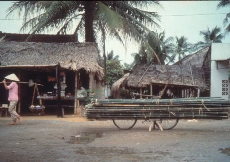 Chiếc xe đạp này được lắp thêm giá ở 2 bên để vận chuyển các cọc tre. Người dùng chỉ có thể đẩy chứ không đạp được chiếc xe này.