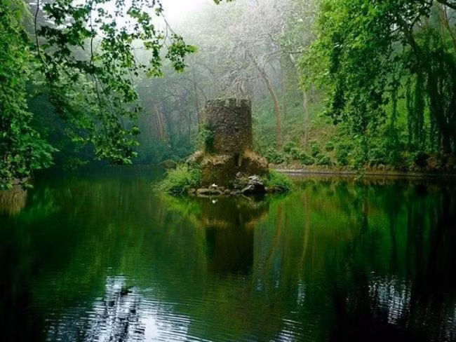 Lâu đài Celtic, Sintra, Bồ Đào Nha: Tòa lâu đài bị bỏ hoang này được tìm thấy trong khuôn viên của cung điện Pena thuộc Sintra, Bồ Đào Nha. Quần thể cung điện này nằm trên đỉnh một ngọn đồi phía trên thị trấn Sintra.