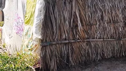 Bi me duoi khoi nha, be gai phai ngu chuong ga