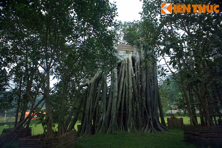 Dưới bóng cây đa Tân Trào, chiều 16/8/1945, Việt Nam Giải phóng quân đã làm lễ xuất quân trước sự chứng kiến của nhân dân Tân Trào và 60 đại biểu. Đồng chí Võ Nguyên Giáp đọc bản Quân lệnh số 1 và ngay sau đó hành quân về giải phóng Hà Nội.