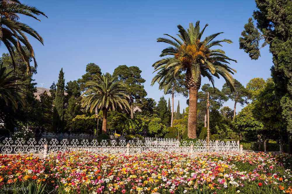 Đây cũng là khu vườn đẹp nhất trong các vườn Ba Tư còn lại ở Iran.