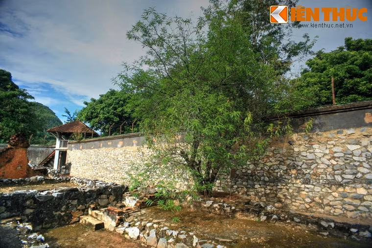 Ông đã để lại nhà tù Sơn La một di sản lịch sử, đó là cây đào mang tên Tô Hiệu. Cây đào này do chính tay ông trồng và chăm bón, trở thành biểu tượng cho tinh thần đấu tranh của các chiến sĩ cộng sản tại nhà tù Sơn La. Ảnh: Cây đào Tô Hiệu trong khuôn viên nhà tù.