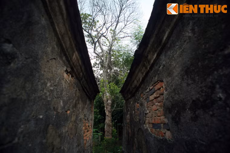 Theo thư tịch của làng, ngôi Miếu Đôi trăm tuổi này vốn toạ lạc ở ấp Hạ Hòa. Đến năm 1849, miếu được dời đến phía đầu làng.