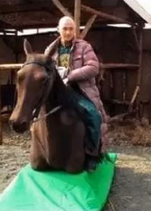 Chỉ cần đầu và thân là đủ, không cần chân làm gì.