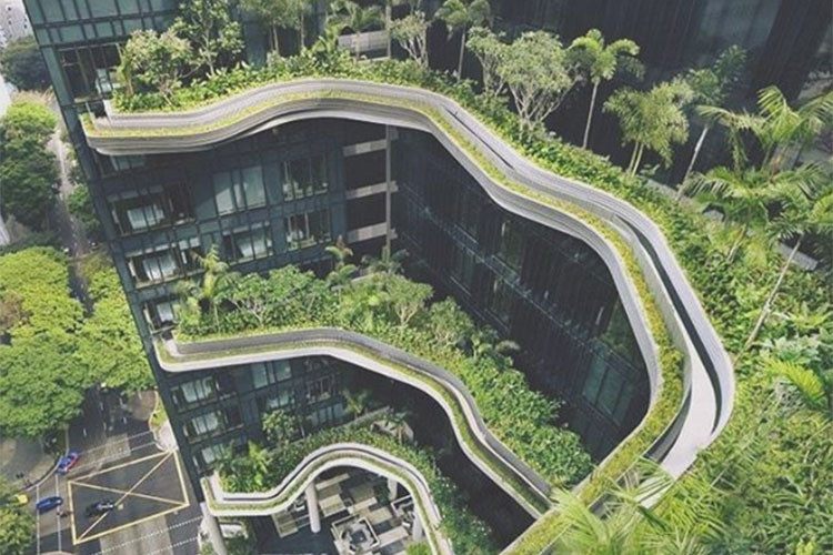 Ban công của khách sạn được phủ kín cây xanh khiến du khách vô cùng thích thú.