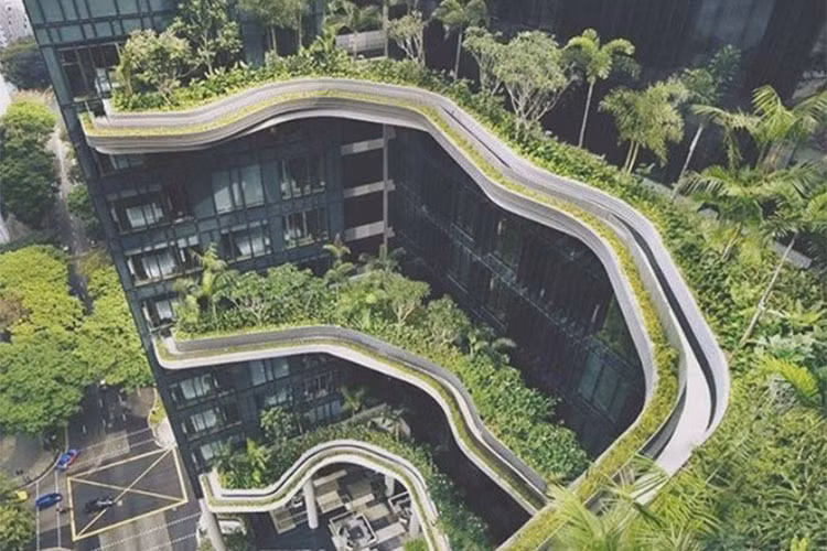 Ban công của khách sạn được phủ kín cây xanh khiến du khách vô cùng thích thú.