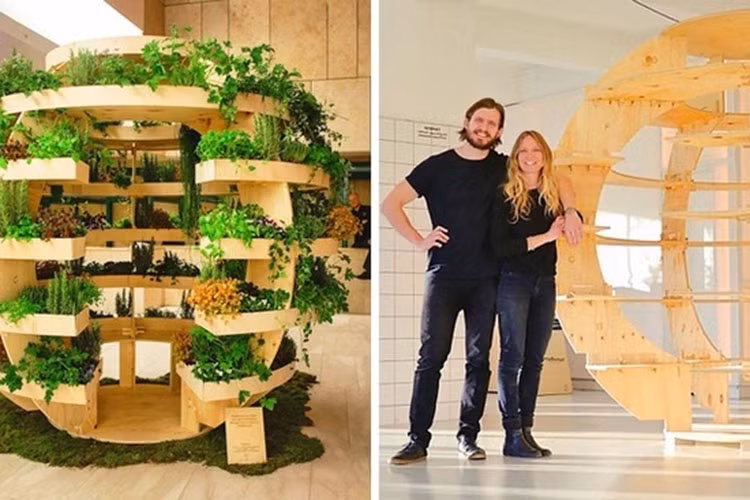 Việc trồng trái cây, rau quả dường như là một "nhiệm vụ bất khả thi" nếu bạn sống ở thành phố. Tuy nhiên, nếu bạn sở hữu "khu vườn hình cầu" này, bạn hoàn toàn có thể trồng hàng tá loại rau quả trong nhà theo ý muốn. Một điểm cần chú ý là bạn nên đặt mẫu thiết kế này ở khu vực có nhiều ánh nắng để rau quả nhà bạn phát triển tốt.