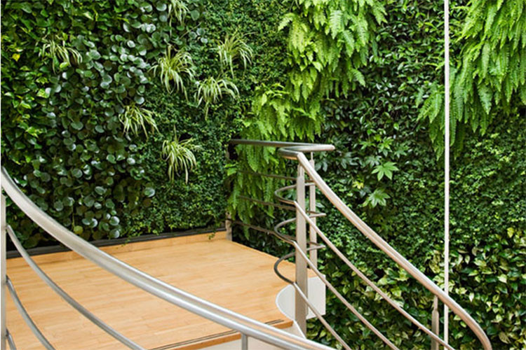 Thảm thực vật trên tường nhà giúp bạn có cảm giác đang được sống giữa thiên nhiên.