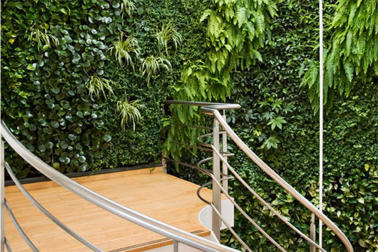Thảm thực vật trên tường nhà giúp bạn có cảm giác đang được sống giữa thiên nhiên.