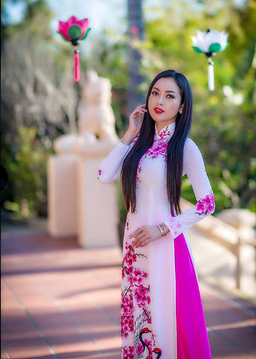 Sau khi đoạt danh hiệu Hoa hậu Phụ nữ người Việt Thế giới năm 2015, Huỳnh Tiên thường xuyên về Việt Nam tham gia các sự kiện giải trí.