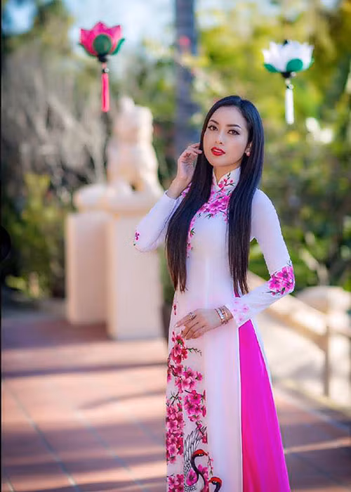 Sau khi đoạt danh hiệu Hoa hậu Phụ nữ người Việt Thế giới năm 2015, Huỳnh Tiên thường xuyên về Việt Nam tham gia các sự kiện giải trí.