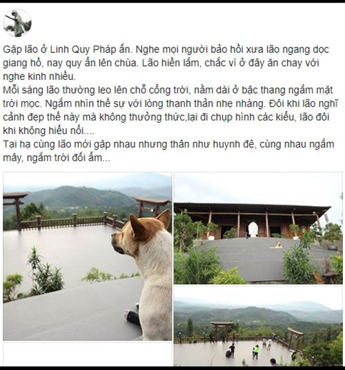 Lời chia sẻ của một thành viên cùng với hình ảnh về chú chó đáng yêu này. Lời chia sẻ của một thành viên cùng với hình ảnh về chú chó đáng yêu này.