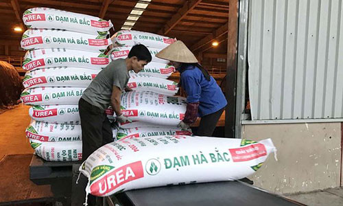 Việc sản xuất, kinh doanh của Đạm Hà Băc đã có dấu hiệu tốt lên rất nhiều so với cách đây 2 năm.