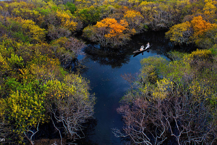 Rú Chá (làng Thuận Hòa, xã Hương Phong, thị xã Hương Trà, Thừa Thiên Huế) là khu rừng ngập mặn nguyên sinh duy nhất còn lại trên phá Tam Giang.