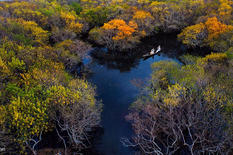 Rú Chá (làng Thuận Hòa, xã Hương Phong, thị xã Hương Trà, Thừa Thiên Huế) là khu rừng ngập mặn nguyên sinh duy nhất còn lại trên phá Tam Giang.