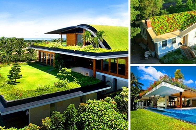 Trồng cây trên mái nhà mang đến rất nhiều lợi ích: giúp mái nhà của bạn trông đẹp hơn, thảm cây làm giảm dòng chảy của nước mưa và tạo ra một không gian sống tuyệt vời cho bạn và gia đình.