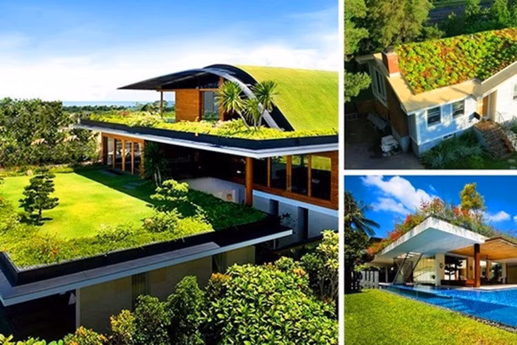 Trồng cây trên mái nhà mang đến rất nhiều lợi ích: giúp mái nhà của bạn trông đẹp hơn, thảm cây làm giảm dòng chảy của nước mưa và tạo ra một không gian sống tuyệt vời cho bạn và gia đình.