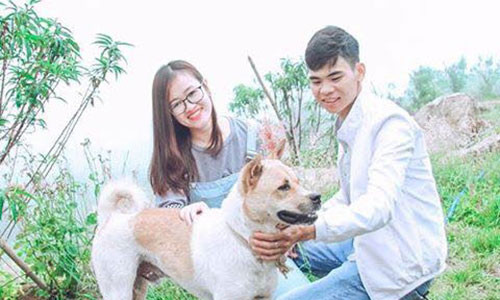 Một du khách chia sẻ kỉ niệm với chú chó.