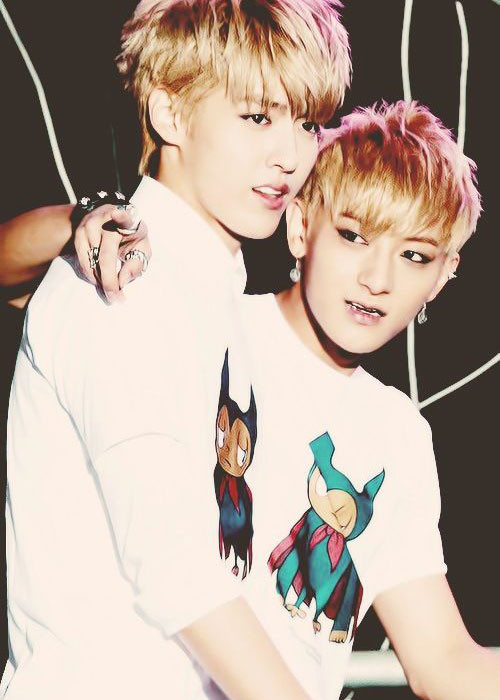 TAO còn bị fans quay lưng khi từng lên tiếng chỉ trích Ngô Diệc Phàm rời nhóm EXO là kẻ phản bội nhưng sau đó chính TAO lại cũng dứt áo ra đi. Ảnh: Pinterest