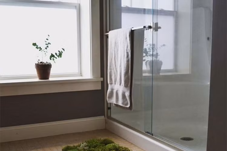 Tận dụng môi trường ẩm ướt trong phòng tắm để trồng cây, tai sao không?