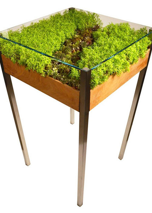 Chiếc bàn kính này sẽ mang bạn đến gần với thiên nhiên hơn.