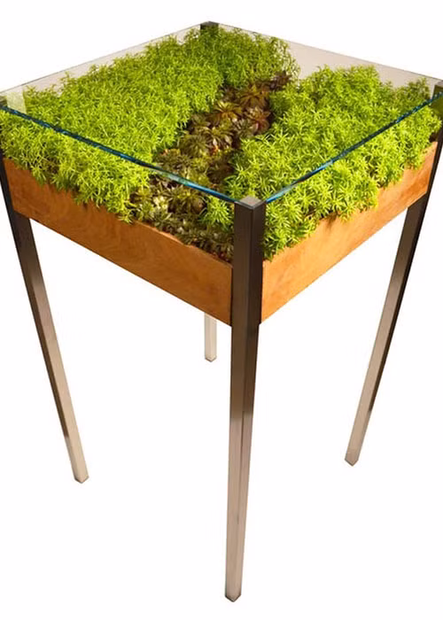 Chiếc bàn kính này sẽ mang bạn đến gần với thiên nhiên hơn.