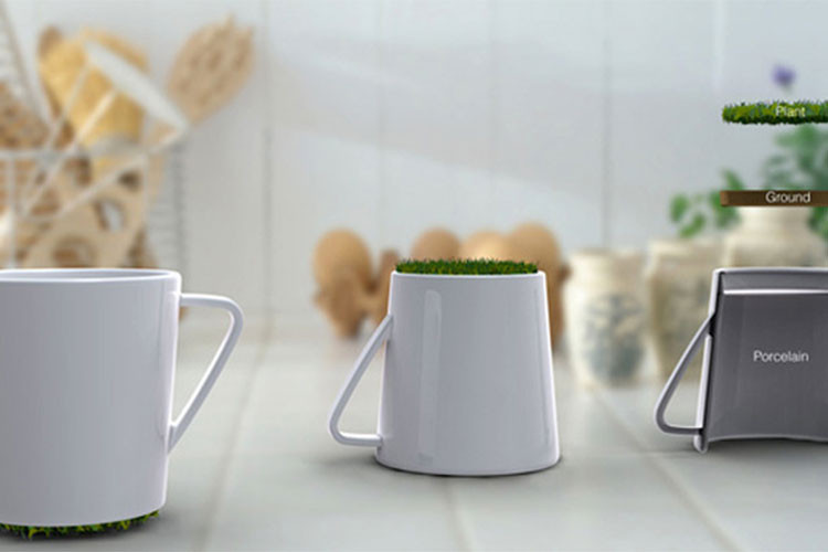 Trồng cây ở đáy cốc- một ý tưởng siêu hay và sáng tạo.