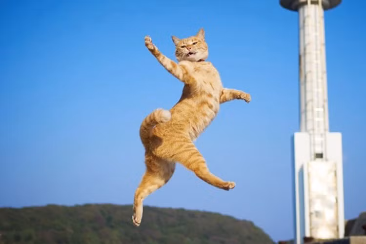 Phải tự tin thể hiện cá tính của mình.