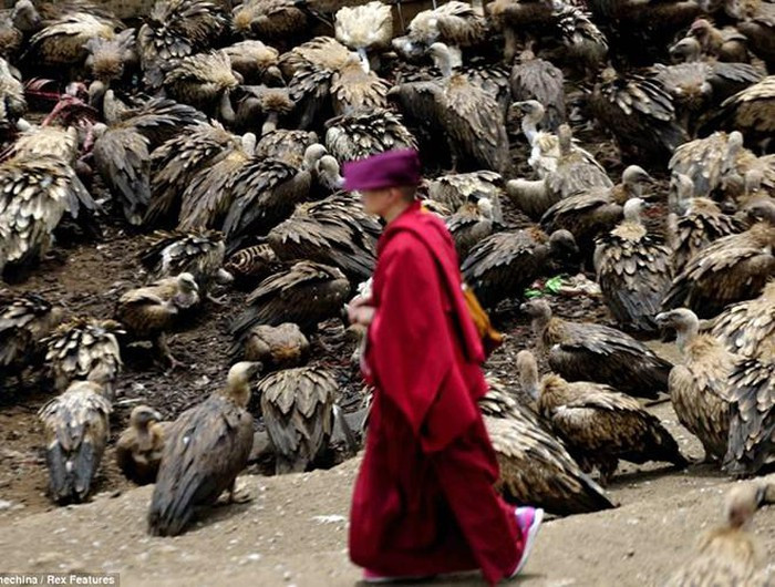 Nghi lễ Thiên táng hay còn gọi là Điểu táng của người Tây Tạng là một trong những nghi thức mai táng đáng sợ nhất hành tinh