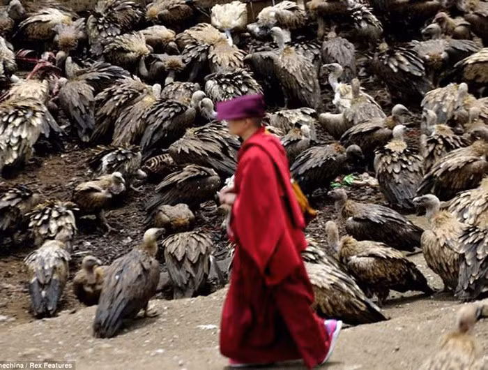 Nghi lễ Thiên táng hay còn gọi là Điểu táng của người Tây Tạng là một trong những nghi thức mai táng đáng sợ nhất hành tinh