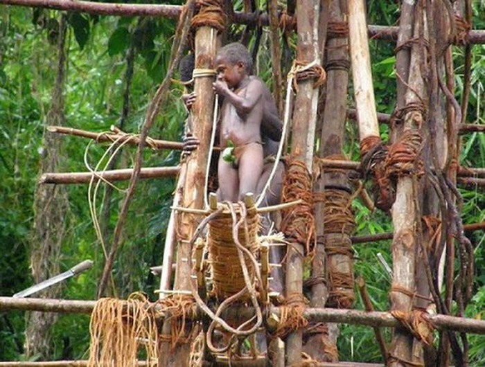 Ở Nam Thái Bình Dương, trên một khoảng đất trống, các thành viên trong bộ tộc Vanuatu dựng lên một tòa tháp có cấu trúc có độ cao 20 - 30m từ thân cây. Để được công nhận là những chiến binh dũng cảm thực thụ, những thanh niên, thậm chỉ cả các cậu bé 7-8 tuổi cũng phải tham gia nghi lễ điên rồ này. Mọi người sẽ nhảy từ tháp gỗ cao đó xuống mà chỉ được “bảo hiểm” bởi hai sợi dây buộc vào thân người