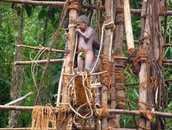 Ở Nam Thái Bình Dương, trên một khoảng đất trống, các thành viên trong bộ tộc Vanuatu dựng lên một tòa tháp có cấu trúc có độ cao 20 - 30m từ thân cây. Để được công nhận là những chiến binh dũng cảm thực thụ, những thanh niên, thậm chỉ cả các cậu bé 7-8 tuổi cũng phải tham gia nghi lễ điên rồ này. Mọi người sẽ nhảy từ tháp gỗ cao đó xuống mà chỉ được “bảo hiểm” bởi hai sợi dây buộc vào thân người