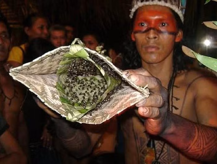 Để được xem là đã vượt qua thử thách, các chàng trai phải thực hiện nghi lễ này hơn 20 lần trong vòng 1 tháng, và không được kêu lên vì đó là biểu hiện của sự yếu đuối. Khi hoàn tất nghi lễ, tay của họ thường bị tê liệt trong một thời gian ngắn do nọc độc của kiến. Nhiều người còn bị ốm và co giật do quá đau đớn