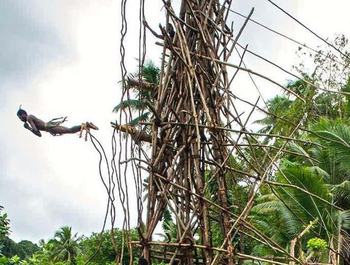 Rất nhiều người đã bị cành cây đâm vào người, gãy cổ, vỡ đầu, thậm chí là mất mạng. Tuy nhiên, những ai may mắn sống sót lại sẽ được công nhận là đàn ông đã trưởng thành