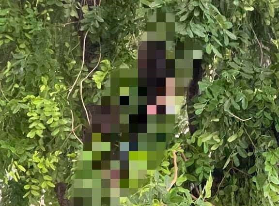 Nguoi dan ong tu vong trong tu the treo co, duong tinh COVID-19