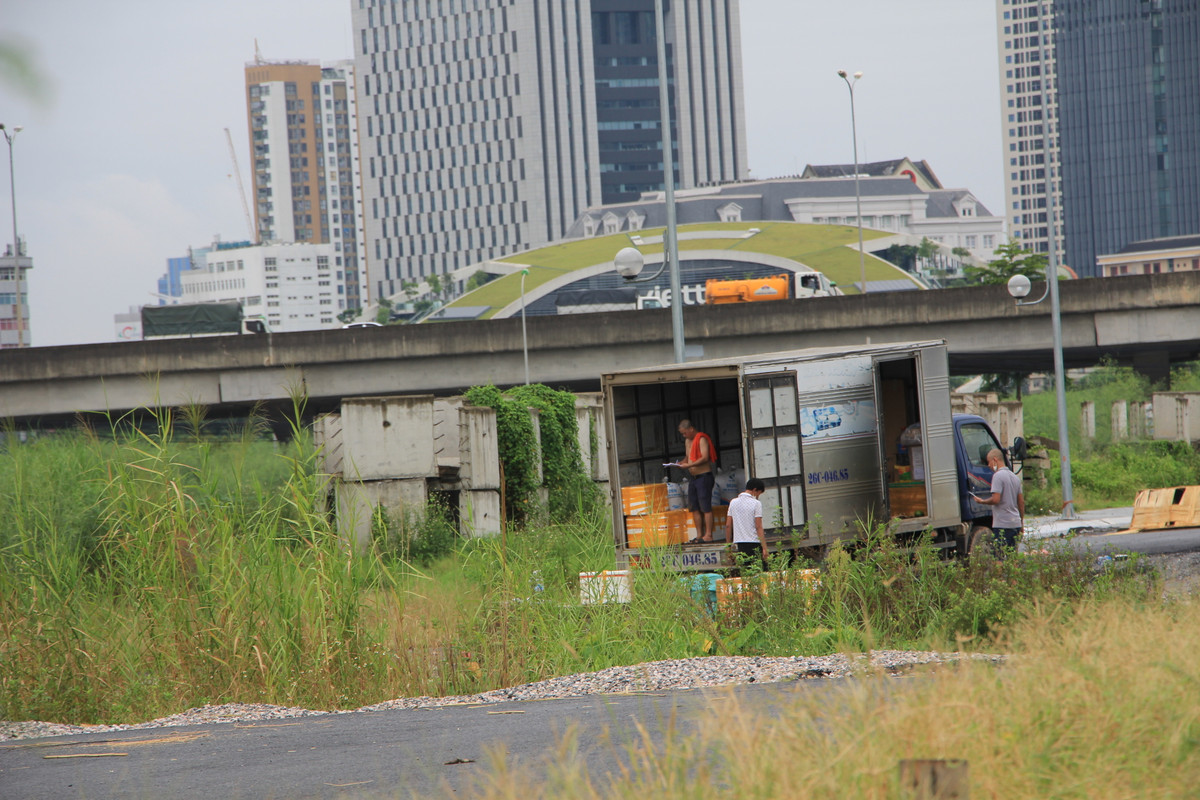 Ngay tại bãi đất hoang rậm rạp cây cối nằm sát Bến xe Mỹ Định, nhiều xe tải hoạt động chui, bốc xếp và đổ hàng không đúng quy định theo nguyên tắc giãn cách xã hội và quy định của "luồng xanh".