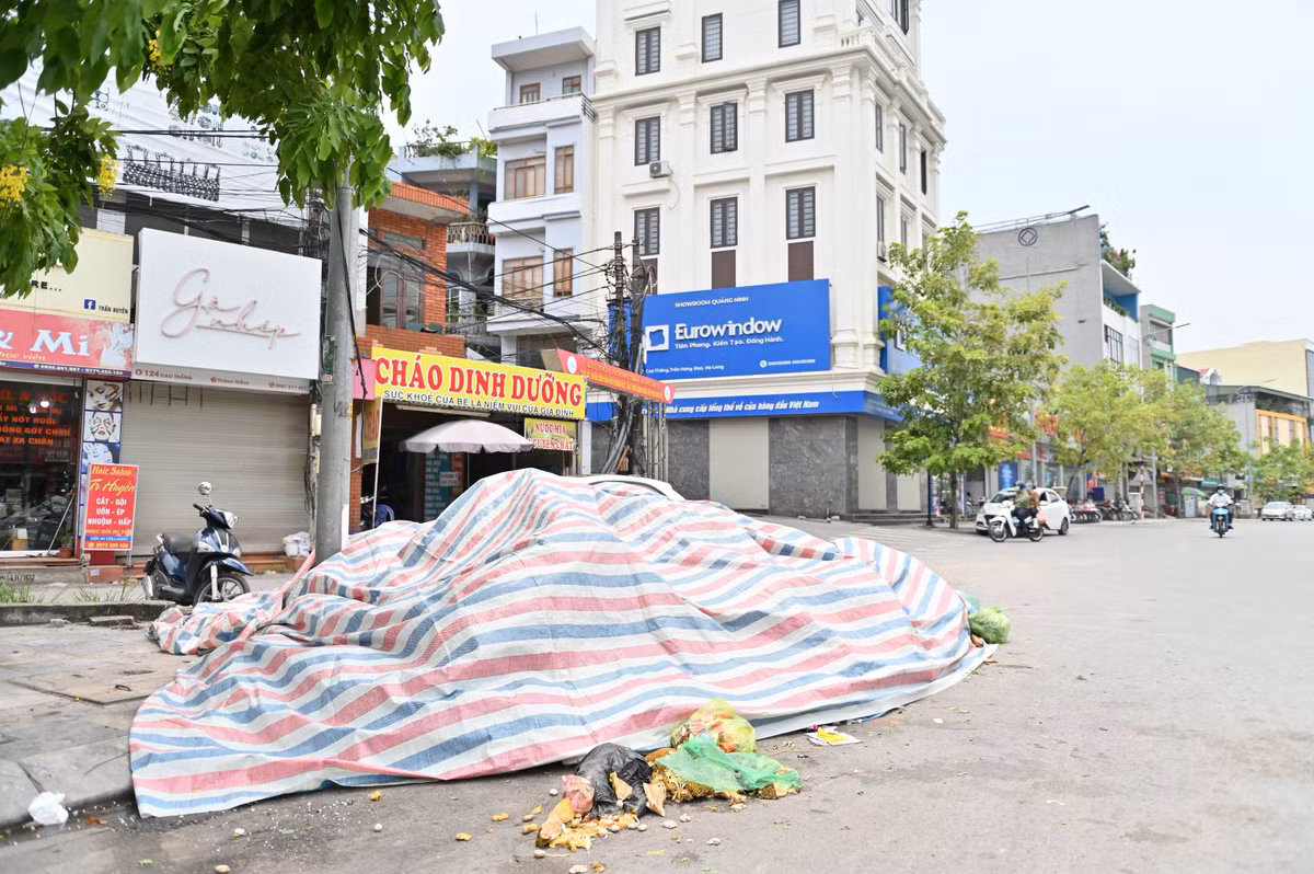 Chỉ sau 6 ngày không có xe đến thu gom rác, nhiều núi rác đã xuất hiện tại "thành phố đáng sống" mang tên Hạ Long.
