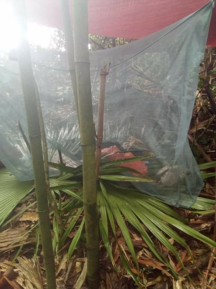 Nong: Bat duoc pham nhan Trieu Van Tai sau hon 4 thang tron trai-Hinh-2