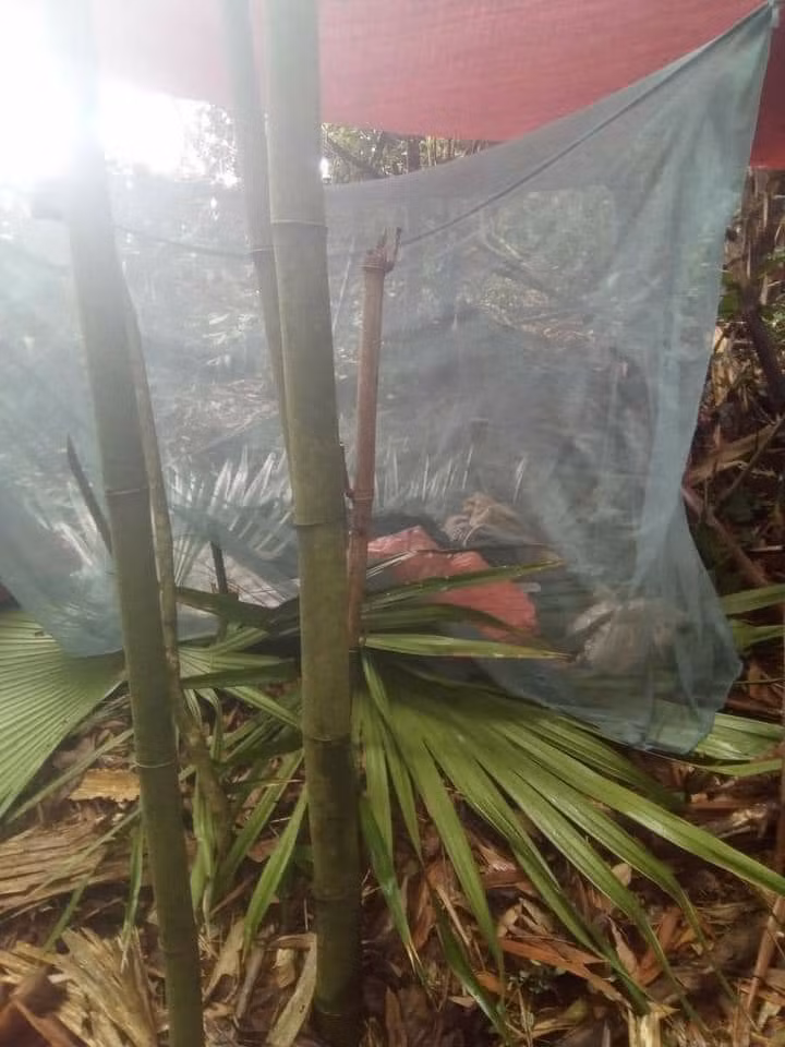 Nong: Bat duoc pham nhan Trieu Van Tai sau hon 4 thang tron trai-Hinh-2