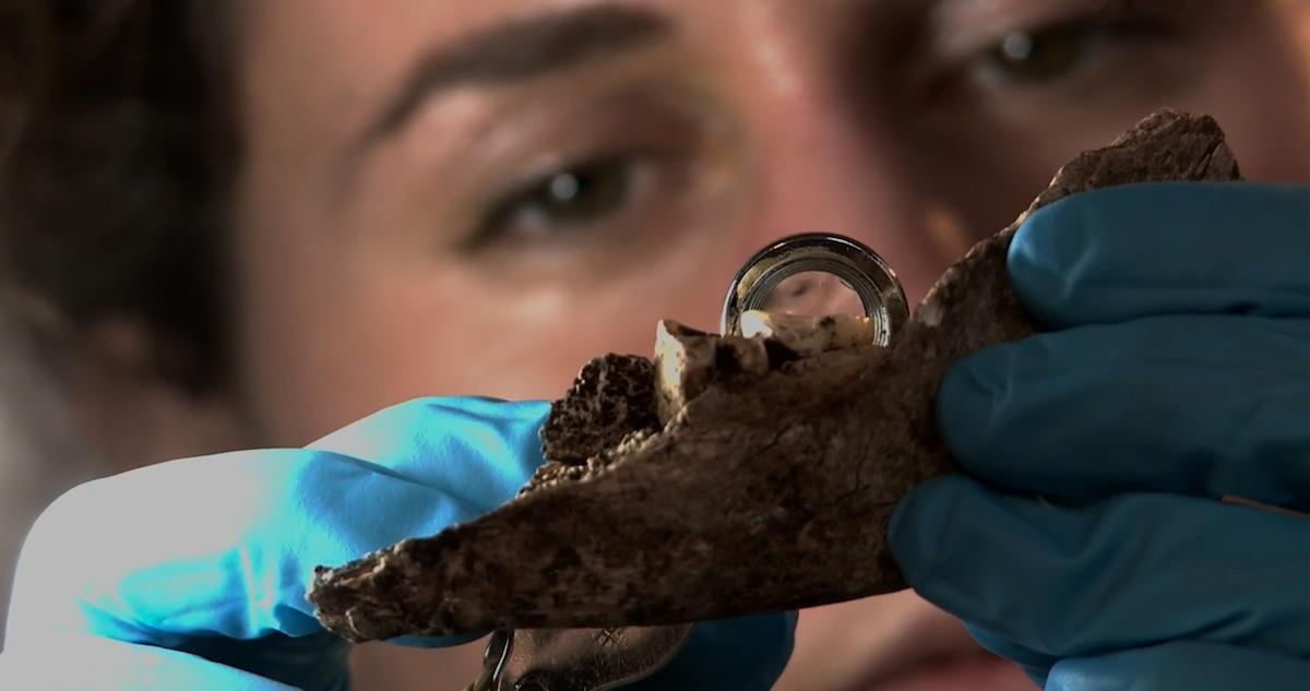 Homo naledi là một mảnh ghép quan trọng trong bức tranh tiến hóa của loài người. Dù còn nhiều tranh cãi và câu hỏi chưa được giải đáp, phát hiện này đã mở ra nhiều hướng nghiên cứu mới và giúp chúng ta hiểu rõ hơn về lịch sử loài người.(Ảnh: Netflix)